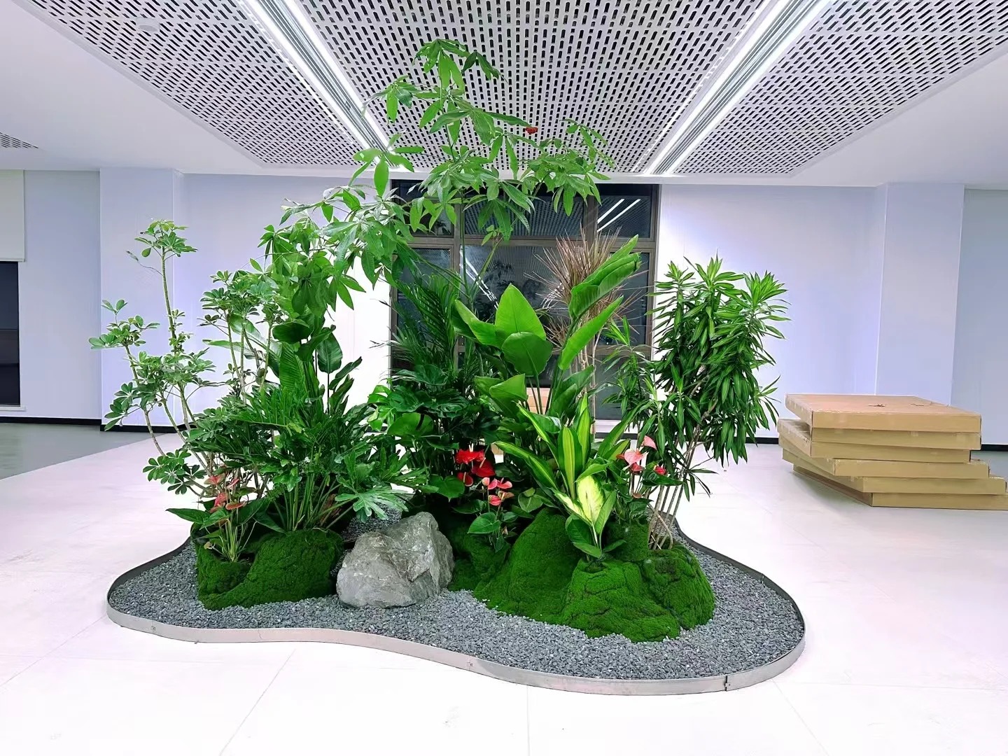 专业绿化修剪，宁波鄞州的绿植养护秘籍大公开！